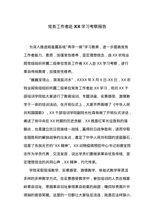 党务工作者赴XX学习考察报告.docx