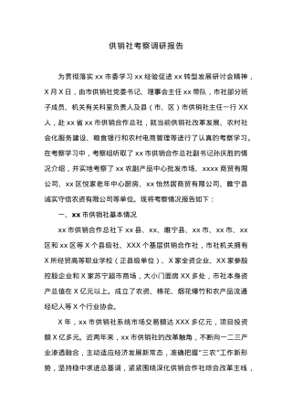 供销社考察调研报告.docx
