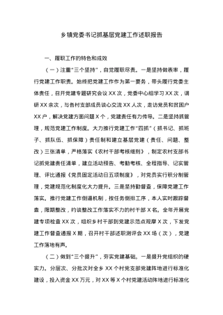 基层党建工作述职报告.docx