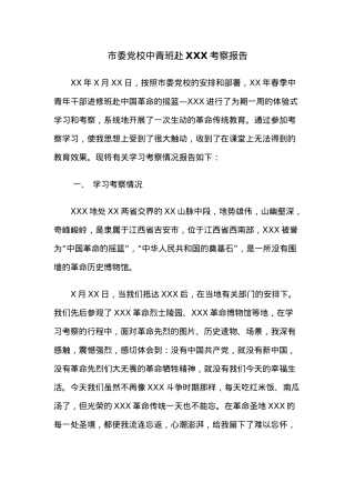 市委党校中青班赴XXX考察报告.docx
