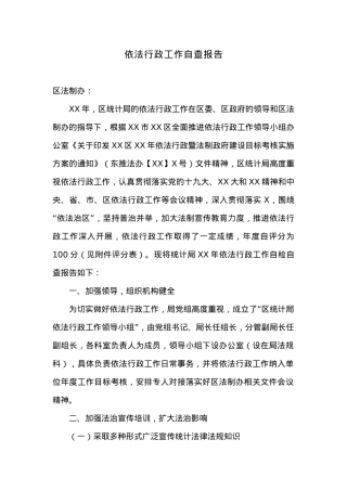 依法行政工作自查报告.docx