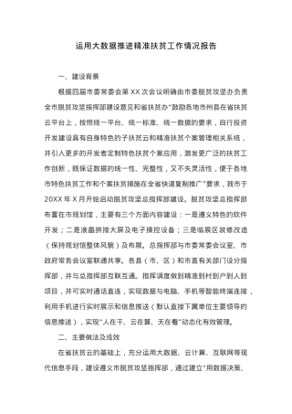 运用大数据推进精准扶贫工作情况报告.docx