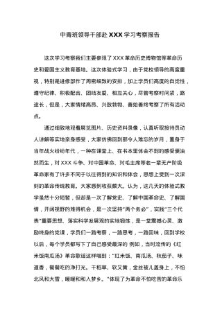 中青班领导干部赴XXX学习考察报告.docx
