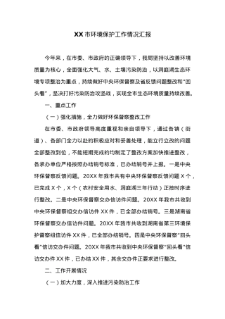 XX市环境保护工作情况汇报.docx