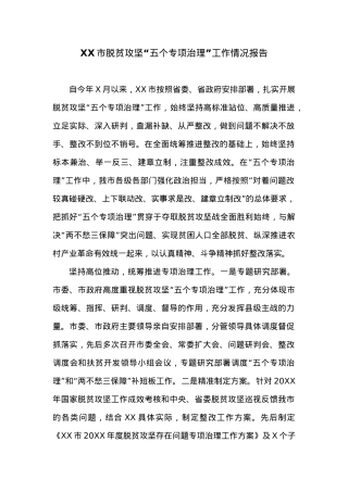 XX市脱贫攻坚“五个专项治理”工作情况报告.docx