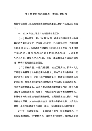 关于推进自然资源重点工作情况的报告.docx