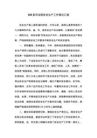 XX县司法局安全生产工作情况汇报.docx