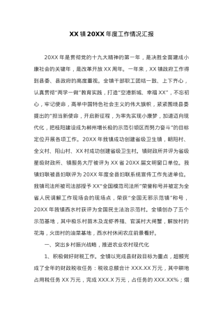 XX镇20XX年度工作情况汇报.docx