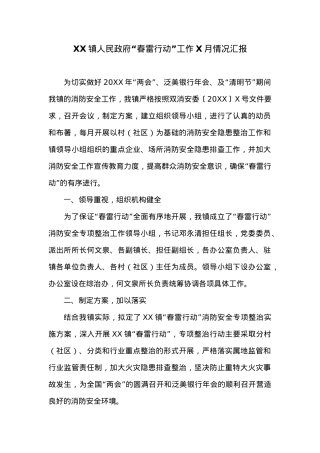 XX镇人民政府“春雷行动”工作X月情况汇报.docx