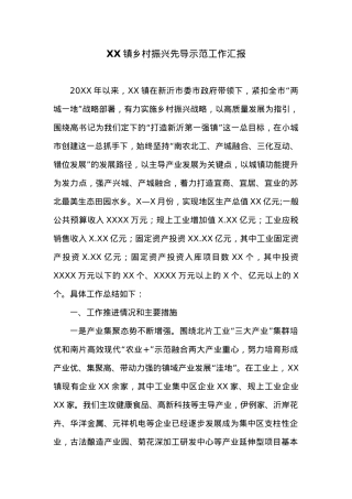 XX镇乡村振兴先导示范工作汇报.docx