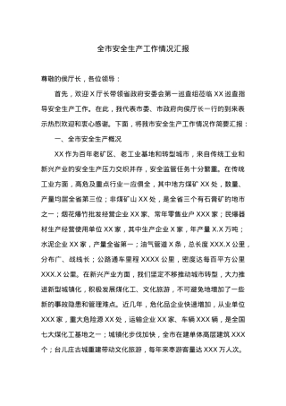 XX市人民政府安全生产工作情况汇报.docx
