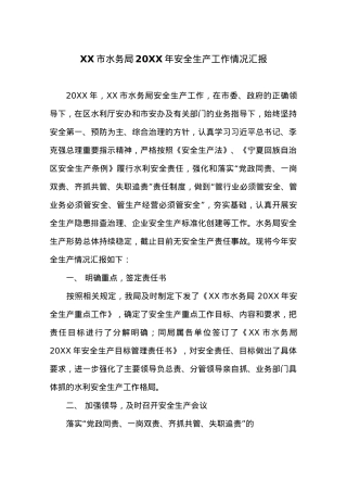XX市水务局20XX年安全生产工作情况汇报.docx