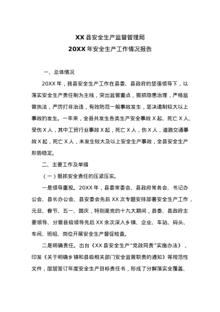 XX县安全生产监督管理局20XX年安全生产工作情况报告.docx