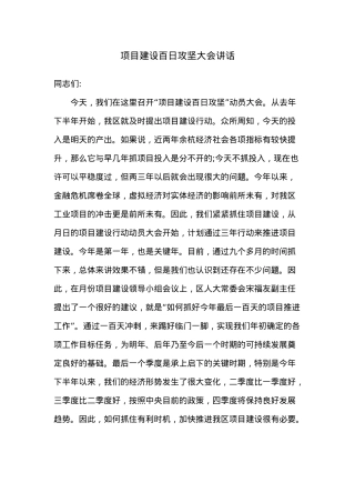 项目建设百日攻坚大会讲话.docx