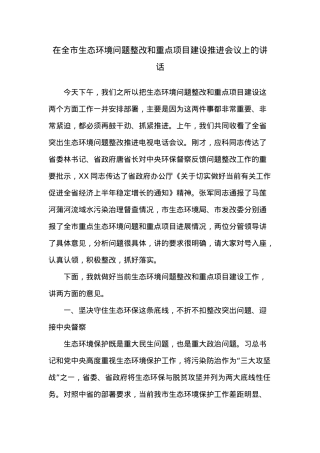 在全市生态环境问题整改和重点项目建设推进会议上的讲话.docx