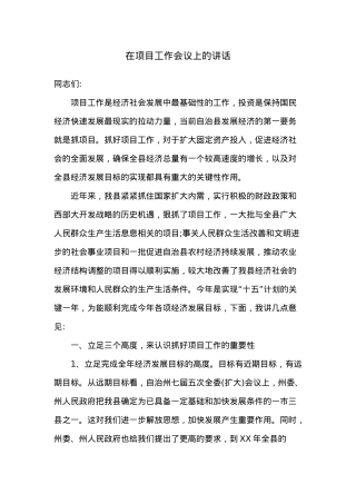 在项目工作会议上的讲话.docx