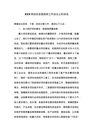 XXX同志在全县政府工作会议上的讲话 (3).docx