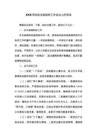 XXX同志在全县政府工作会议上的讲话.docx