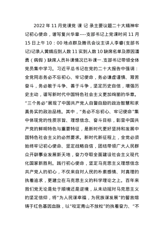 2022年11月党课.docx