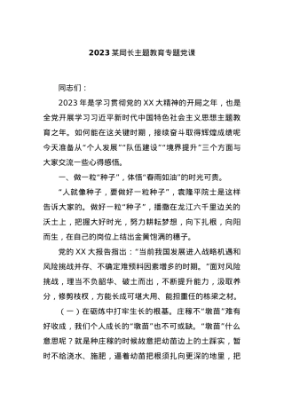 2023某局长主题教育专题党课.docx