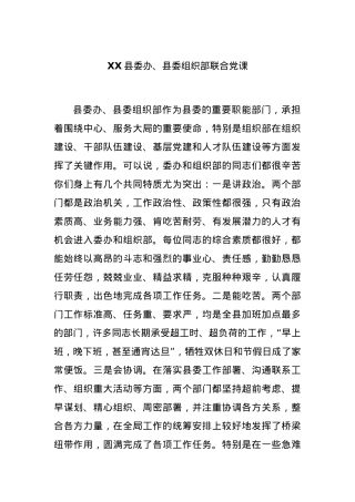XX县委办、县委组织部联合党课.docx