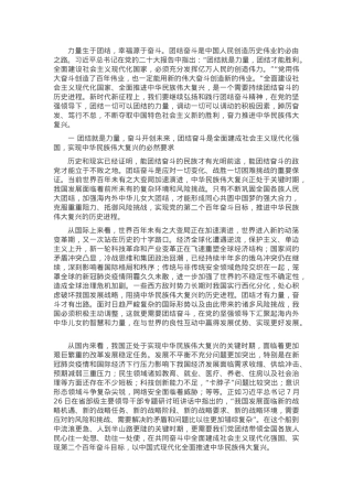 党课：20D团结奋斗全面推进中华民族伟大复兴.docx