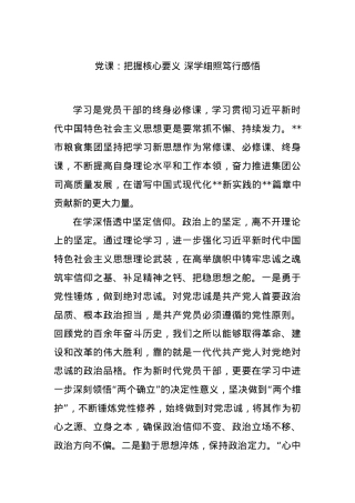 党课：把握核心要义 深学细照笃行感悟.docx