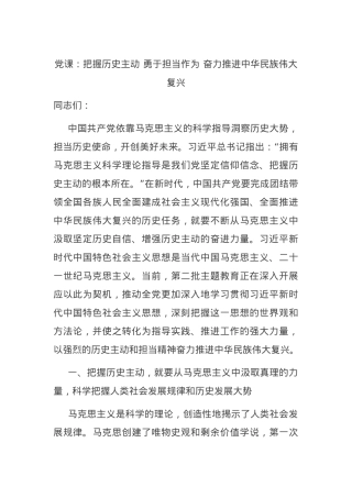 党课：把握历史主动 勇于担当作为 奋力推进中华民族伟大复兴.docx