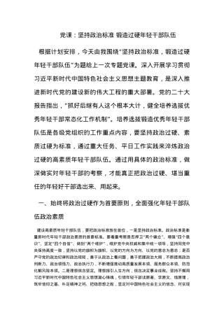 党课：坚持政治标准 锻造过硬年轻干部队伍.docx