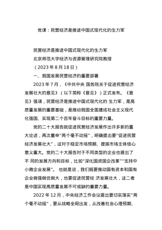 党课：民营经济是推进中国式现代化的生力军.docx