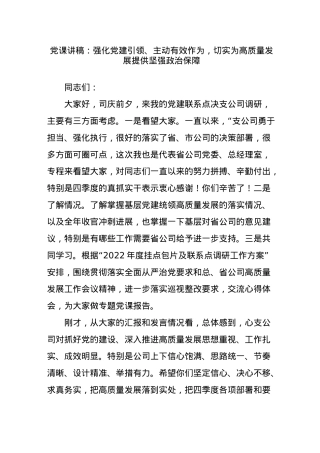 党课：强化党建引领 主动有效作为 切实为高质量发展提供坚强政治保障..doc