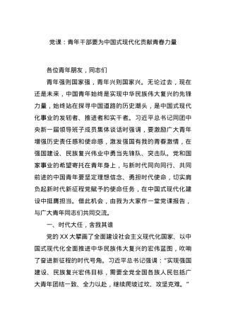 党课：青年干部要为中国式现代化贡献青春力量.docx