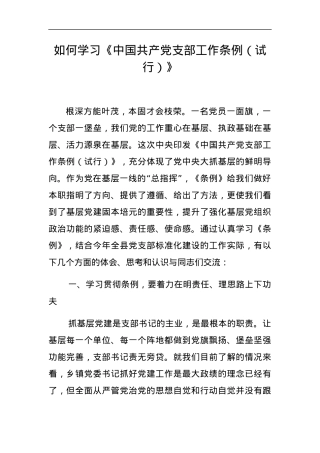 党课：如何学习《中国共产党支部工作条例（试行）》.docx