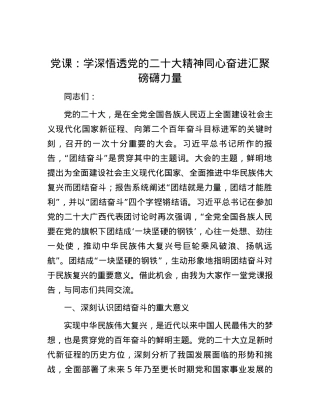 党课：学深悟透党的二十大精神 同心奋进汇聚磅礴力量.docx