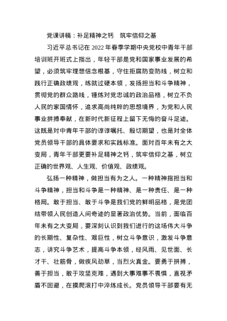 党课讲稿：补足精神之钙　筑牢信仰之基.docx