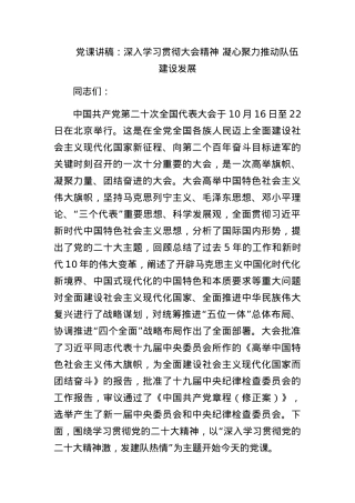党课讲稿：深入学习贯彻大会精神 凝心聚力推动队伍建设发展.docx