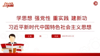 习近平新时代中国特色社会主义思想PPT精美简洁学思想强党性重实践建新功党内主题教育党课课件.pptx