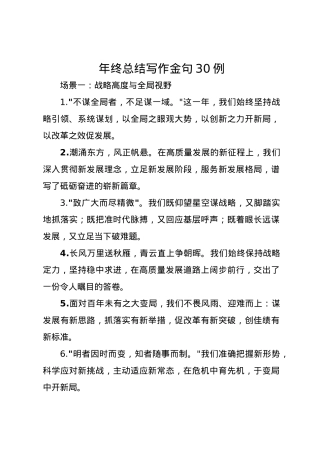 年终总结写作金句30例.docx