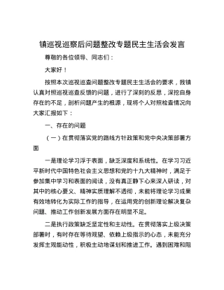 镇巡视巡察后问题整改专题民主生活会发言.docx