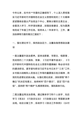 市委副书记2024年度述职述廉报告.docx