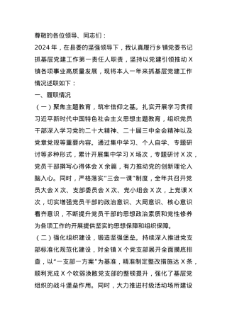 2024年度乡镇党委书记抓基层党建述职报告.docx