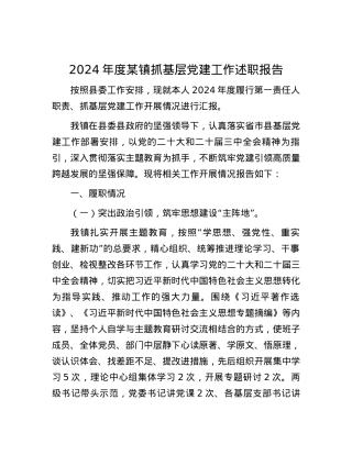 2024年度某镇抓基层X建工作述职报告.docx