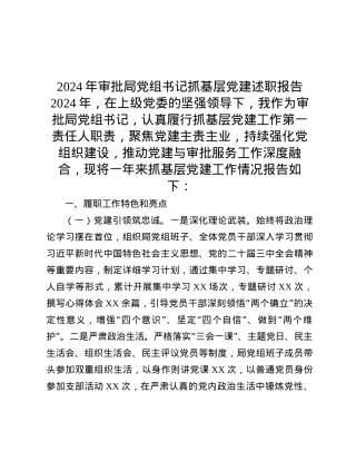 2024年审批局X组书记抓基层X建述职报告.docx