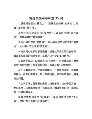 X建类亮点小标题35例.docx