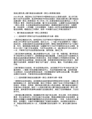 X政主要负责人履行推进法治建设第一责任人职责情况报告.docx