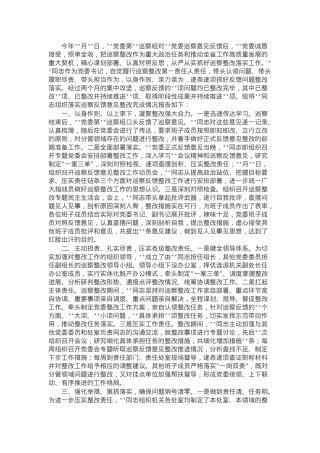 党委书记组织落实巡察整改情况报告.docx
