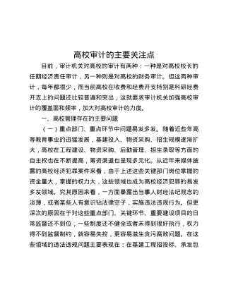 高校审计的主要关注点.docx