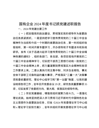 国有企业2024年度书记抓X建述职报告.docx
