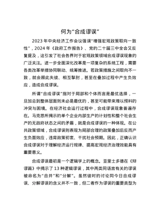 何为“合成谬误”.docx