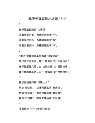 基层X建写作小标题25组.docx